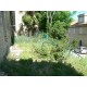 Properties for Sale_La Casa di Elide in Le Marche_4